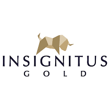 Insignitus GOLD Logo